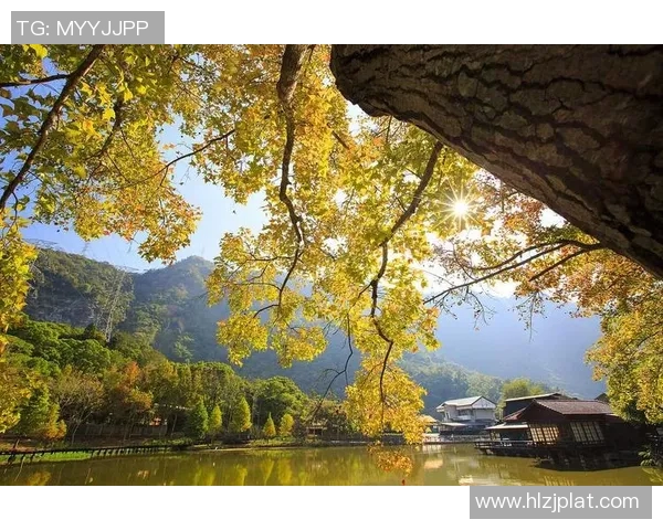 探索阿拉巴的历史文化与自然风光之美，感受独特魅力与人文底蕴