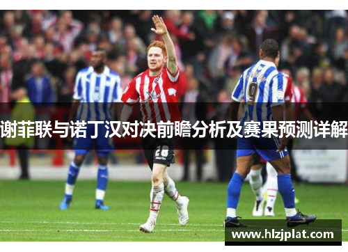 谢菲联与诺丁汉对决前瞻分析及赛果预测详解